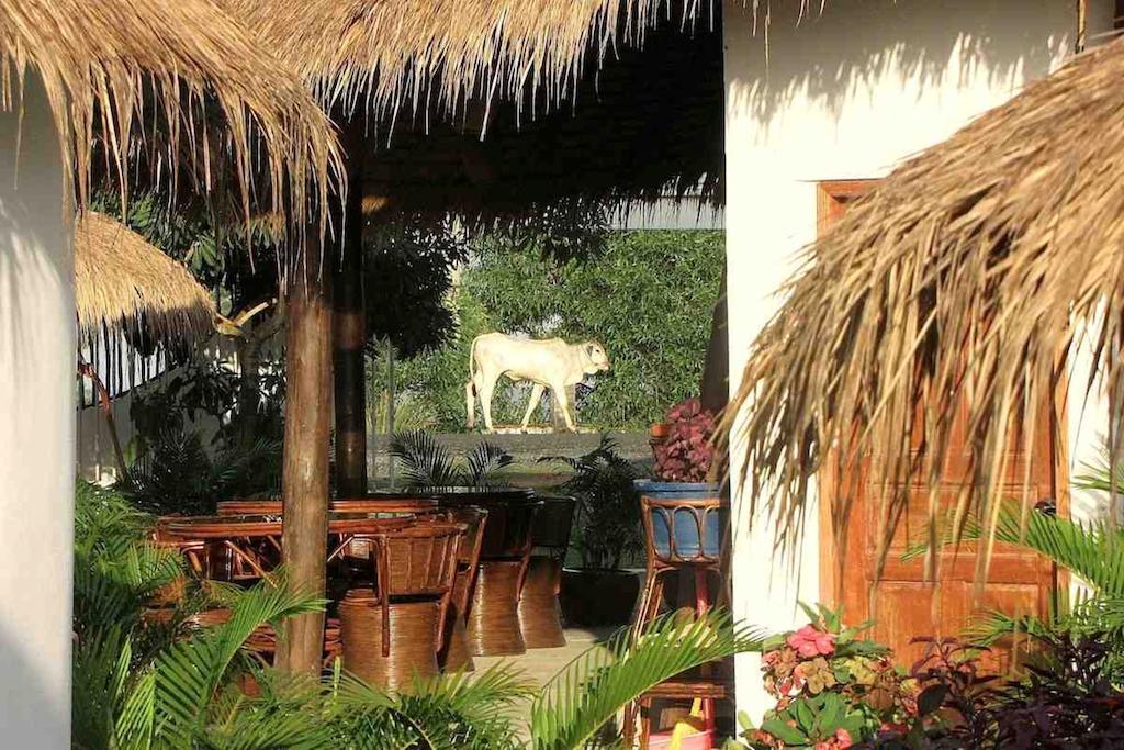 Penguin Pablo Bungalow Sihanoukville Exterior foto
